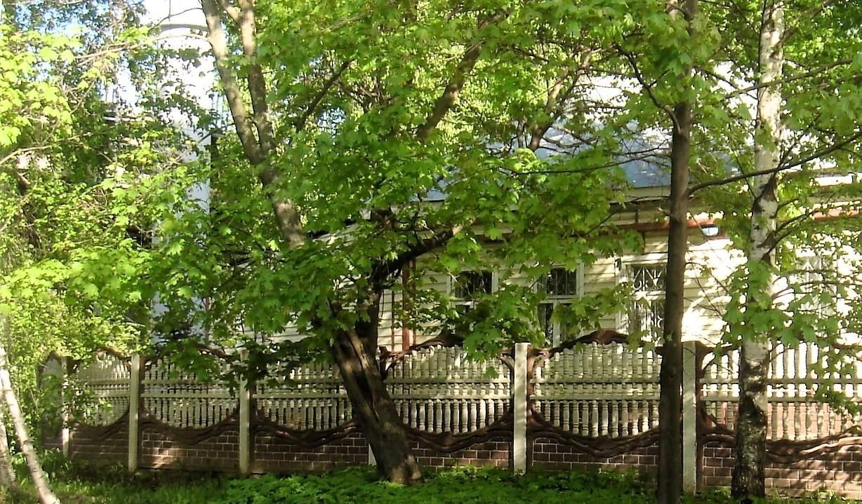 дом г Нижний Новгород Горьковская пер Прудный 21 фото 2