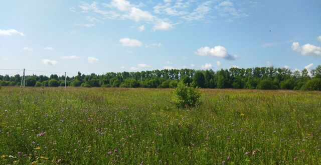 9780 км, Воскресенск, Новорязанское шоссе фото