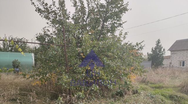 дом снт Волгодонской Садовод 379 фото