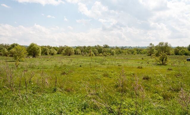 Белопесоцкие Выселки 85 км, Каширское шоссе фото