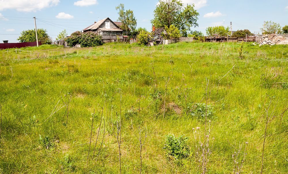 земля г Ступино Белопесоцкие Выселки 85 км, Каширское шоссе фото 4