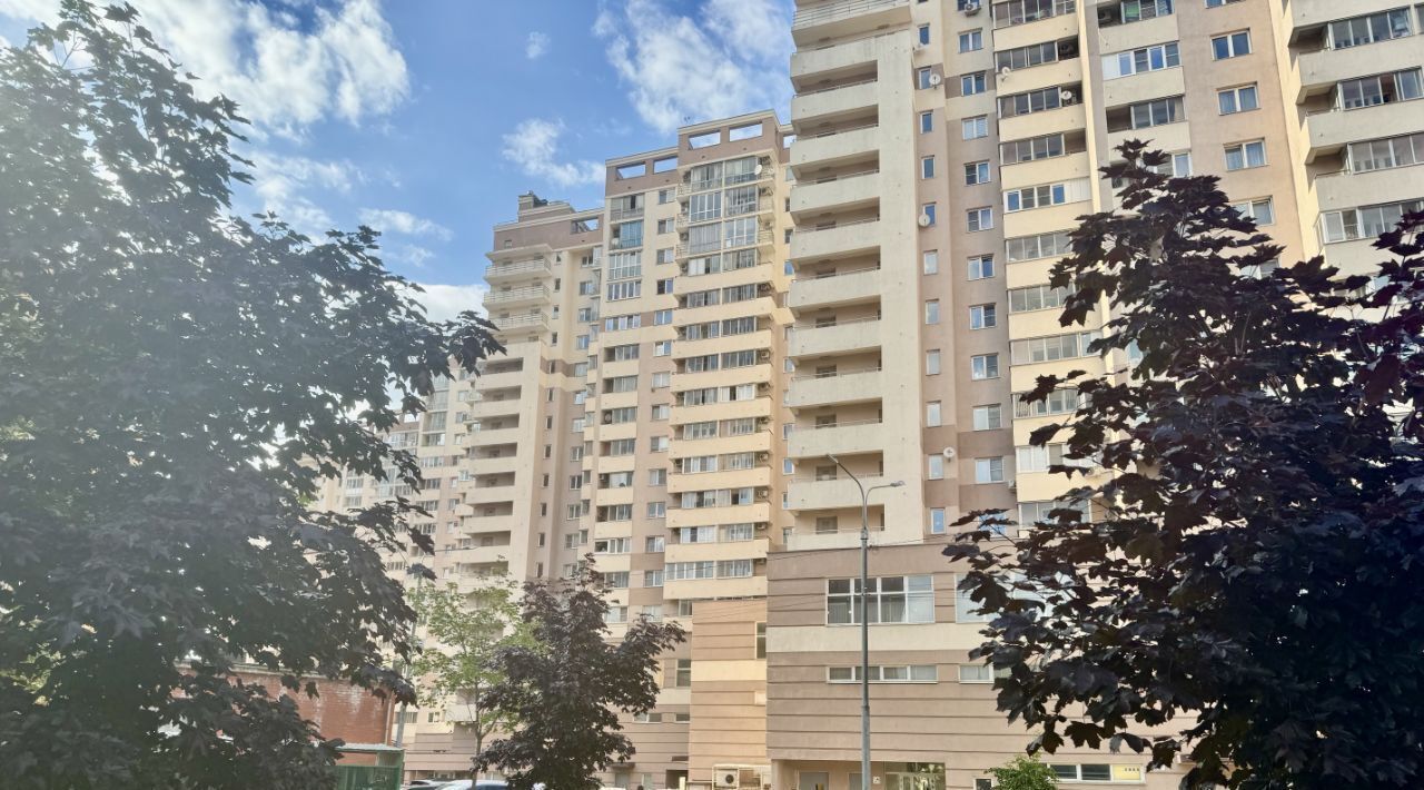 квартира г Раменское ул Чугунова 15б Фабричная фото 3