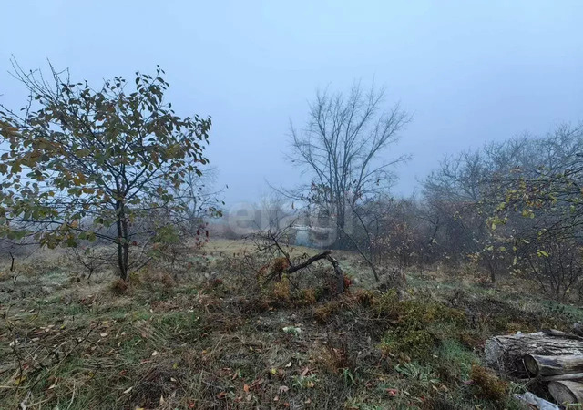 садоводческое товарищество Автомобилист фото
