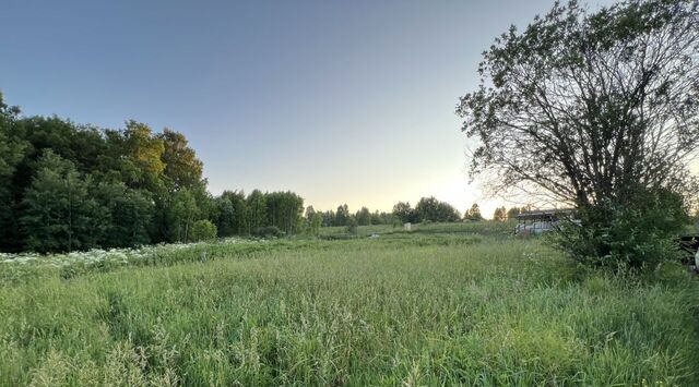 снт Поляна Томский район фото