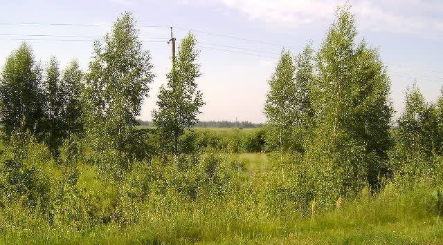 земля р-н Угличский г Углич ул Крупской 9 фото 2