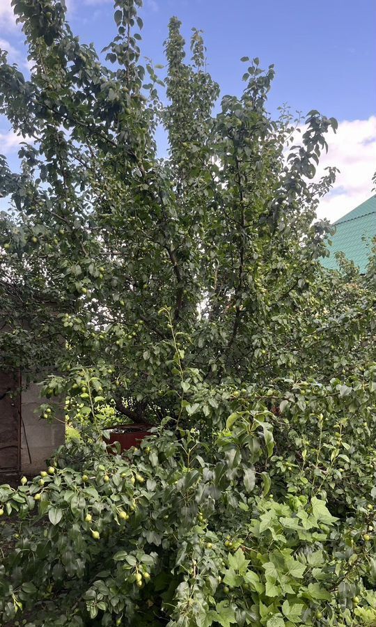 дом г Курган СТ ЖБИ 2 фото 14