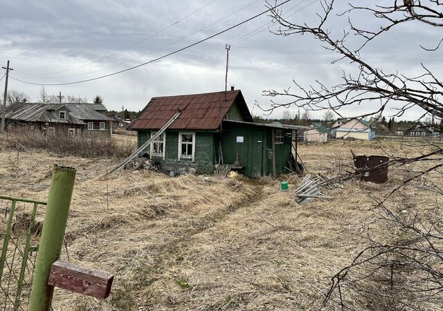 Обозерский фото