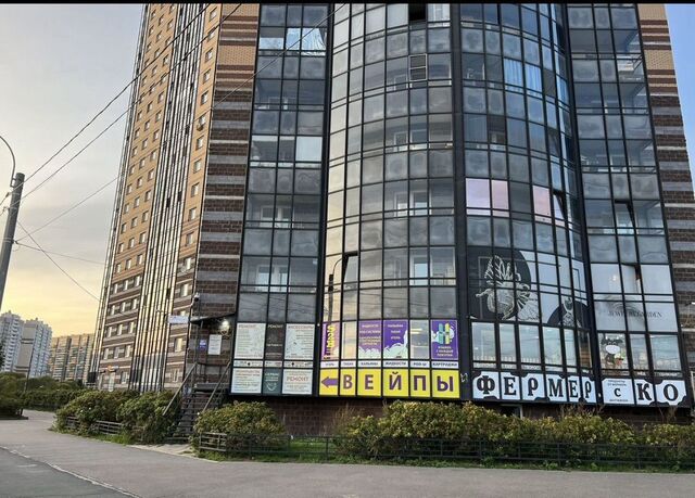 ул Михаила Дудина 23к/1 метро Парнас фото