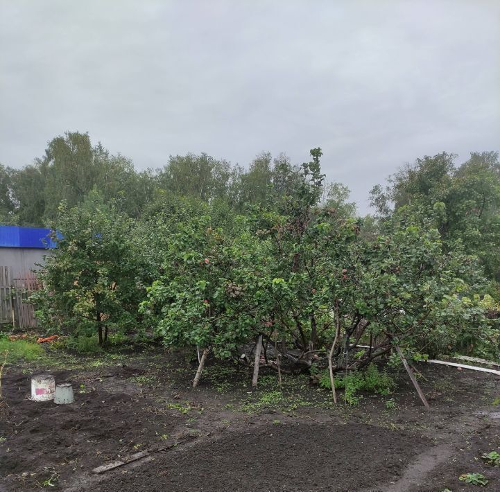 дом г Омск р-н Кировский СОСН Юбилейный тер., аллея 4-я, 107 фото 11