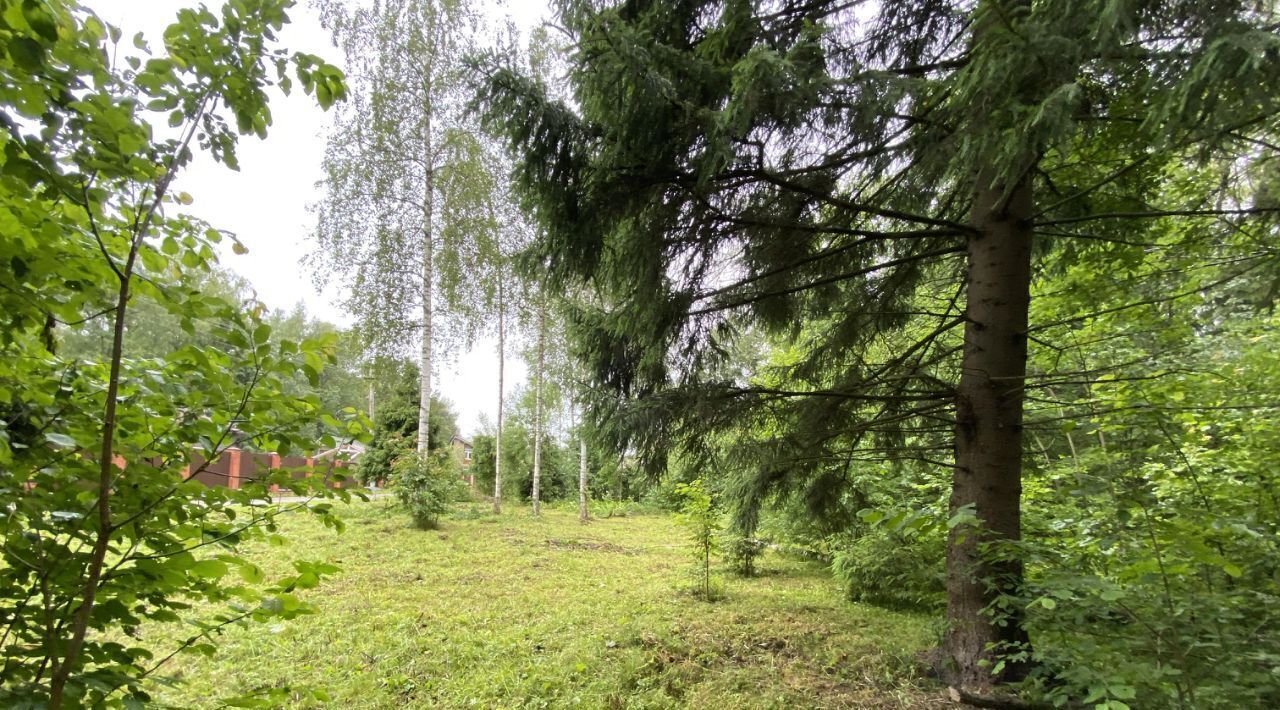 земля г Пушкино снт тер.Аянка Пушкинский городской округ фото 2