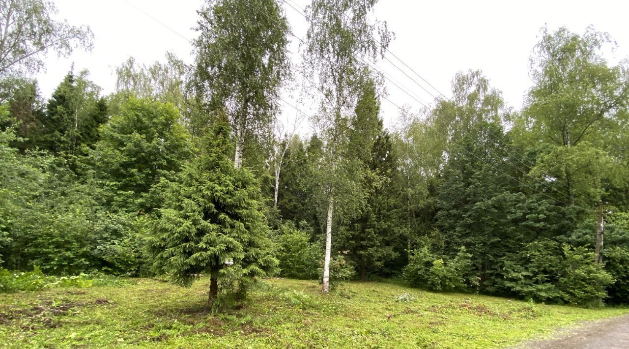 земля г Пушкино снт тер.Аянка Пушкинский городской округ фото 4