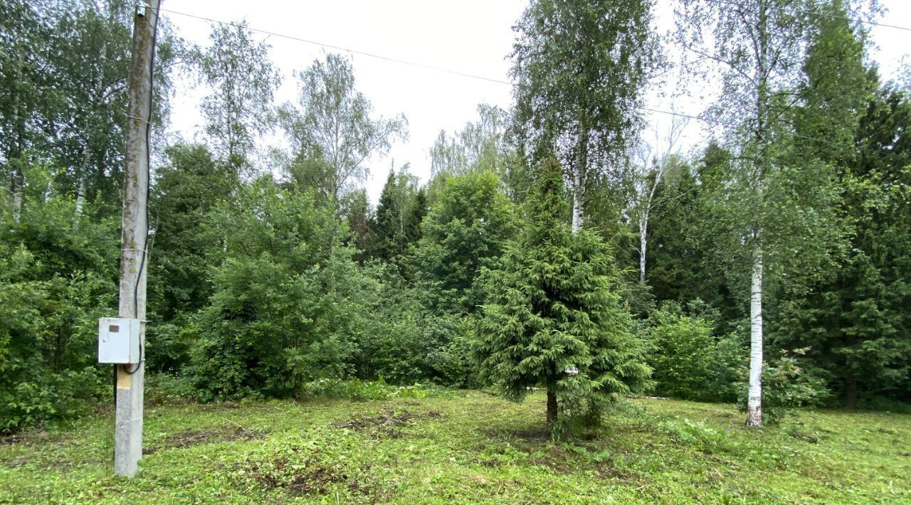 земля г Пушкино снт тер.Аянка Пушкинский городской округ фото 5