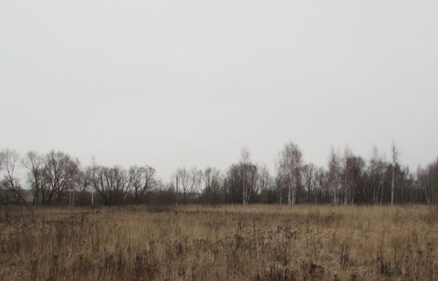 Коломна городской округ фото