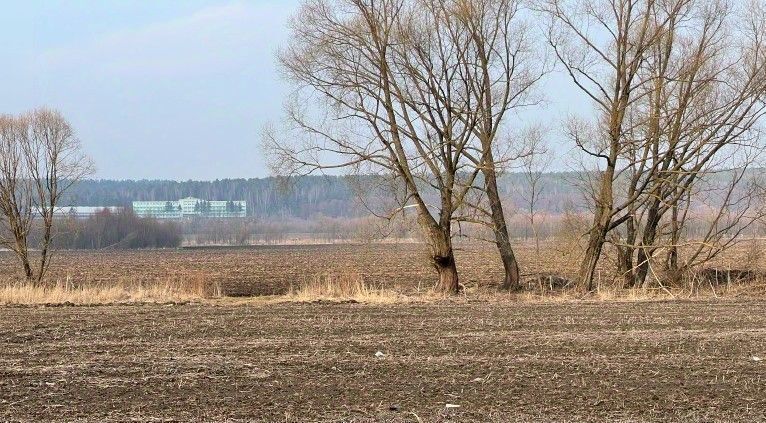 земля г Кашира п Большое Руново ул Центральная фото 1