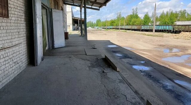Буревестник ул Коновалова 6к/2 фото