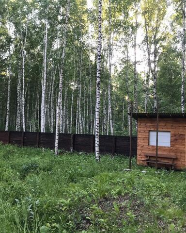 квартал А р-н Южный массив, Поле 3, Ангарск, СНТ Берёзовая роща фото
