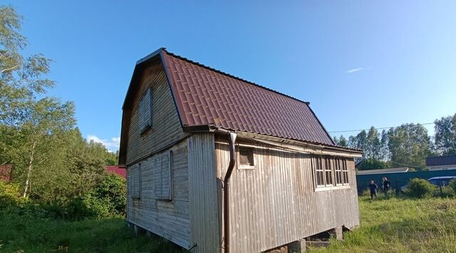 снт Бауманец Дмитровский муниципальный округ фото
