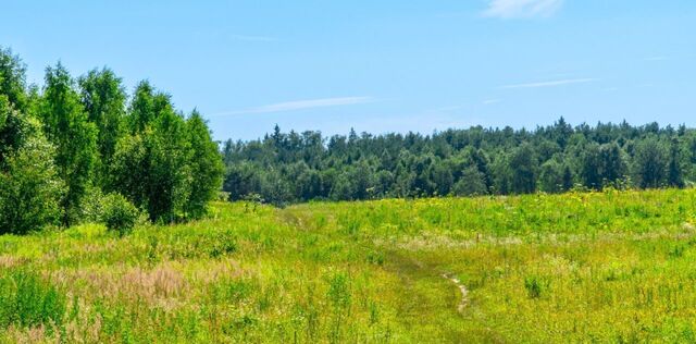 Поваровская Слобода кп фото