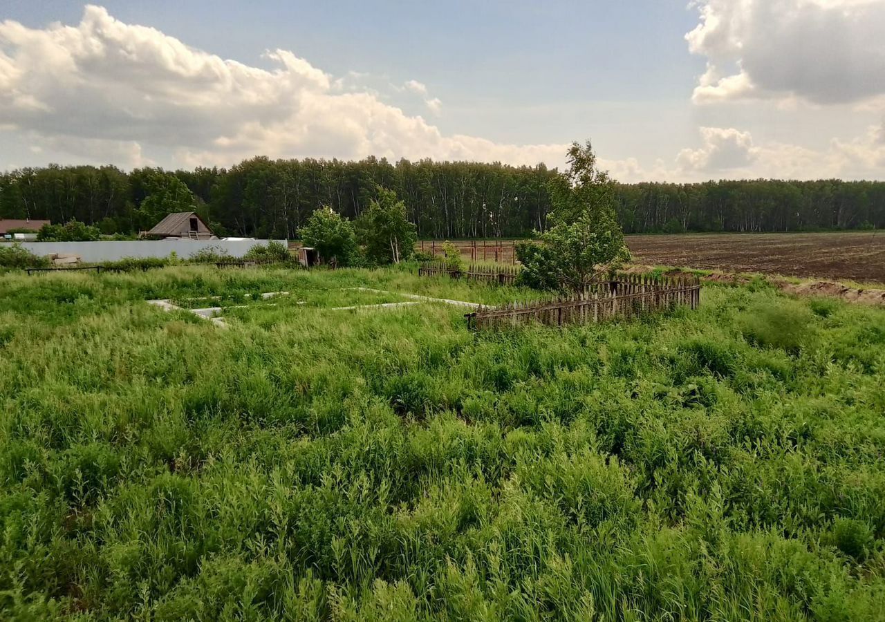 земля г Омск снт Березовая Роща Пушкинский тракт, 964 фото 3