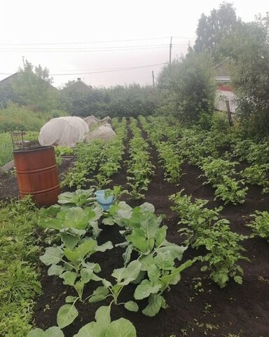 ул Луговая 44 Кемеровская обл. — Кузбасс фото