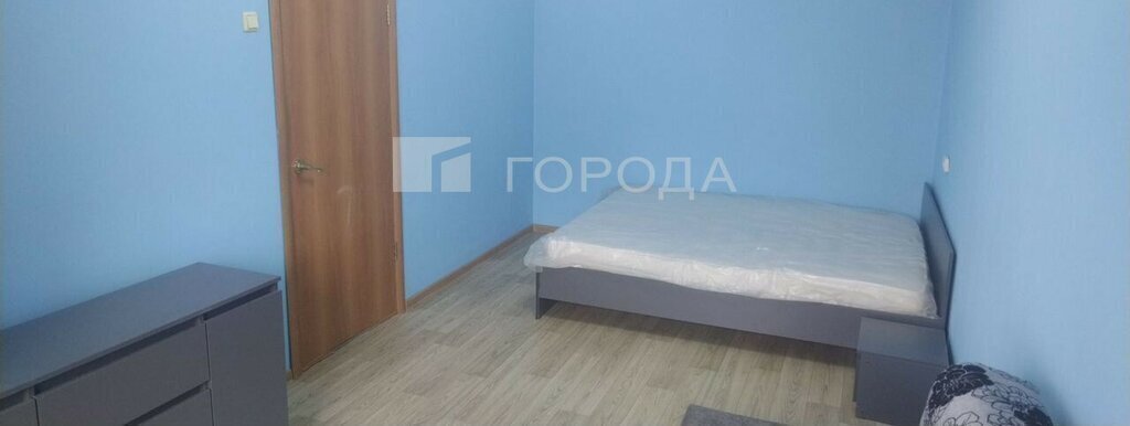 квартира г Новосибирск Золотая Нива ул Татьяны Снежиной 25/2 фото 2