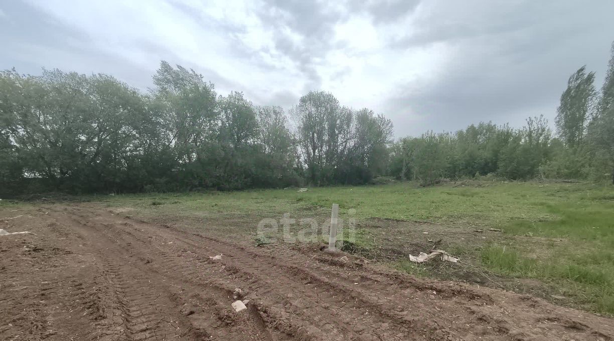 земля г Балашов фото 4