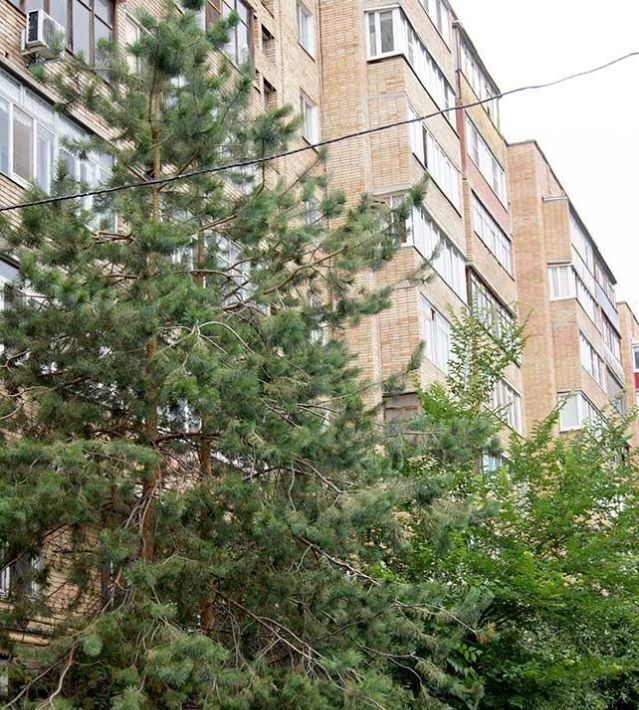 квартира г Самара Спортивная ул Мориса Тореза 103 фото 14