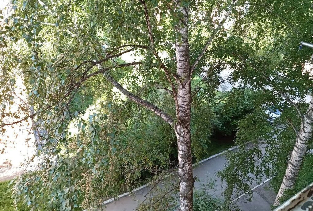 квартира г Бердск ул Островского 101 фото 10