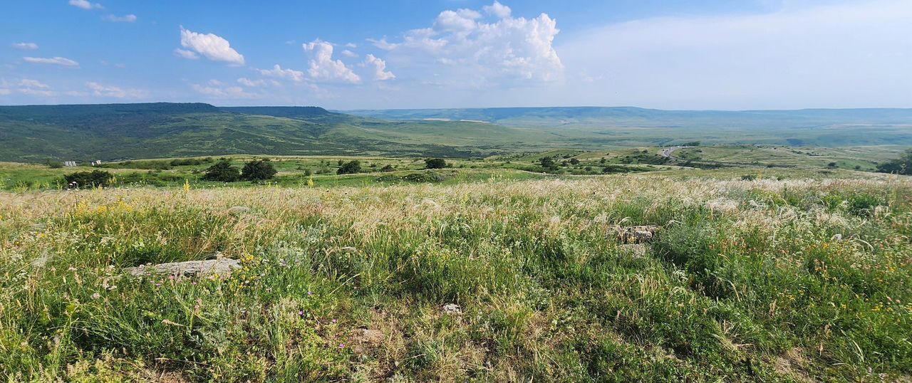 земля г Ставрополь р-н Промышленный садовое товарищество Зори Кавказа фото 5