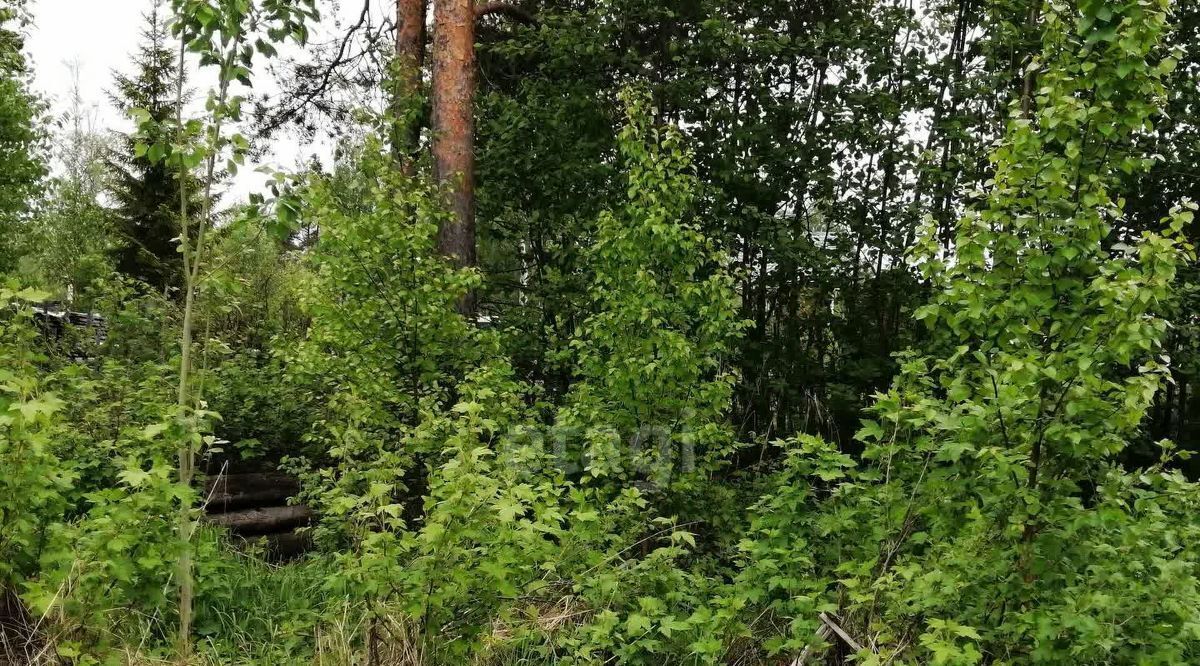 дом г Архангельск р-н Маймаксанский округ снт Чайка фото 24