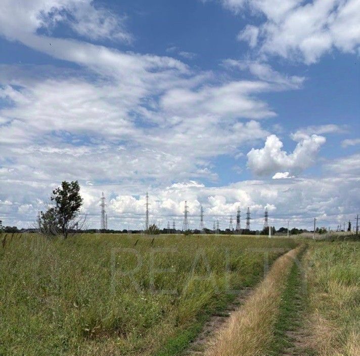 офис г Краснодар п Березовый р-н Прикубанский фото 7