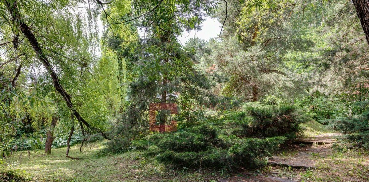 земля г Красногорск Липовая Роща, Береста кп фото 1
