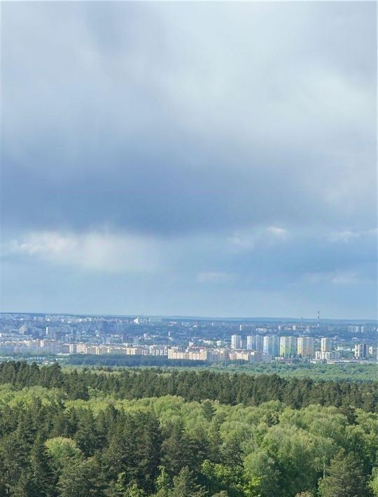 квартира г Пенза р-н Железнодорожный ул Кордон Студеный 48 фото 3