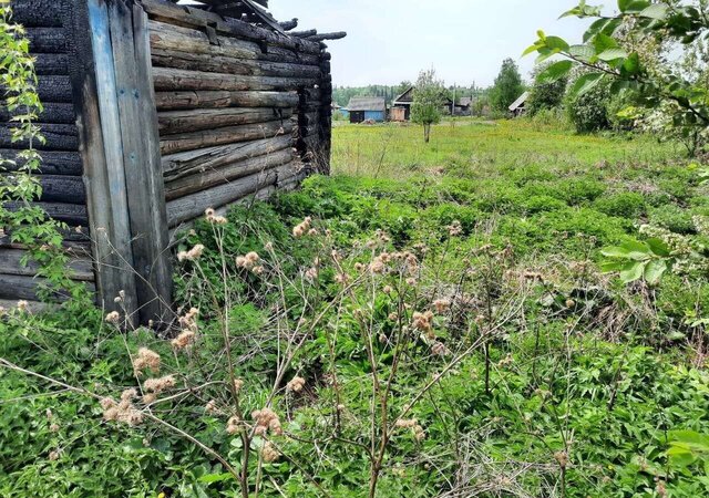 Березовский фото