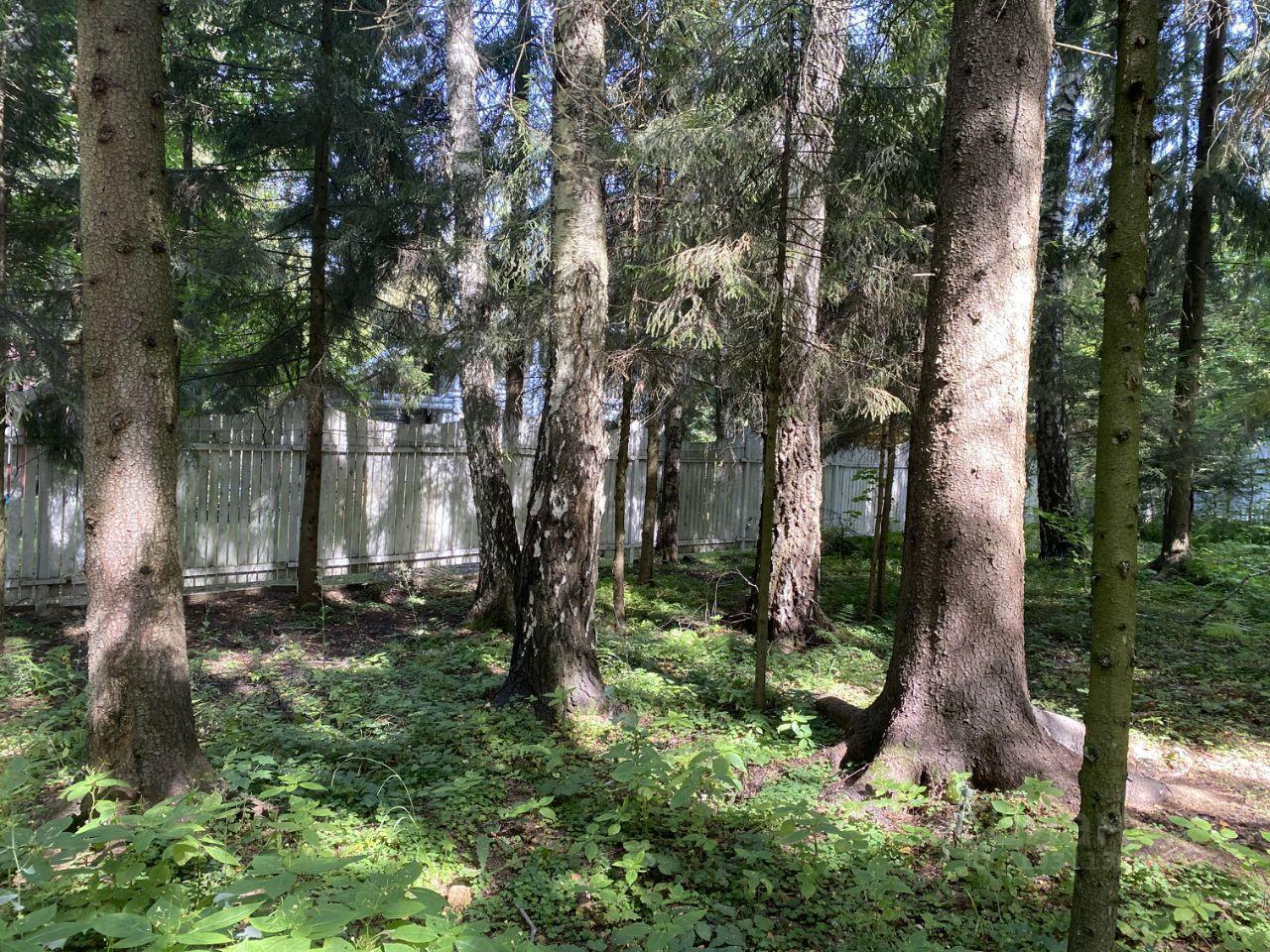 земля г Балашиха снт Радио 254, Дск, 143041, Краснознаменск фото 1