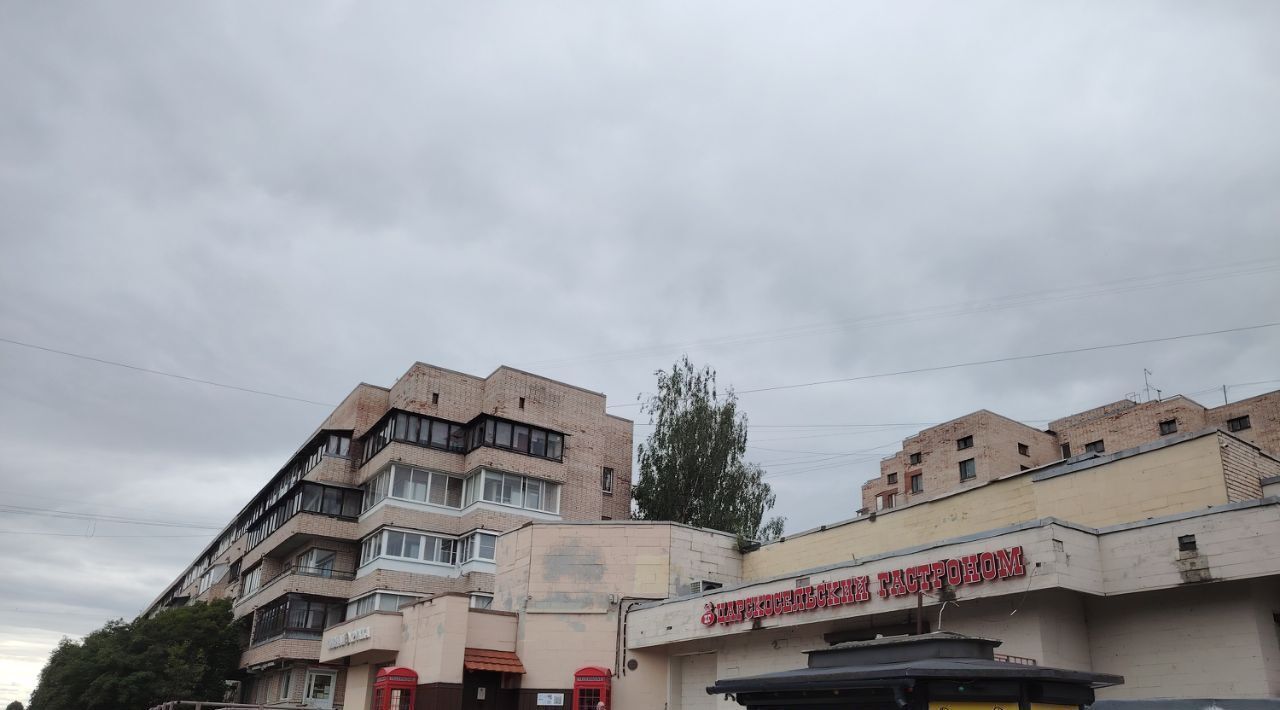 квартира г Пушкин ул Генерала Хазова 8 метро Купчино фото 10