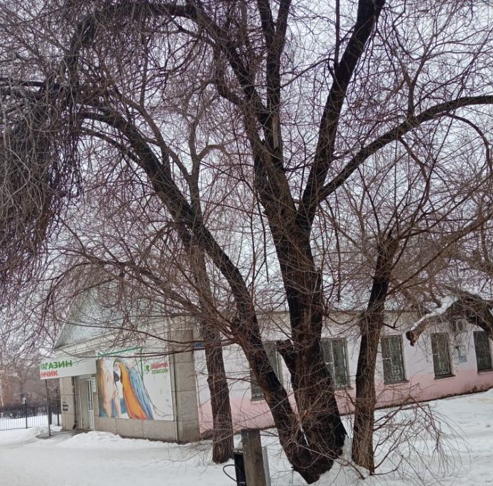 офис г Орск р-н Советский Вокзальный фото 2