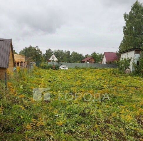 снт Надежда-2 Барышевский сельсовет, 468 фото