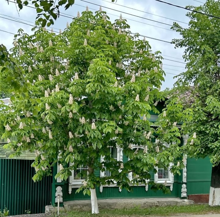 квартира г Бронницы пер Пионерский 5 фото 31