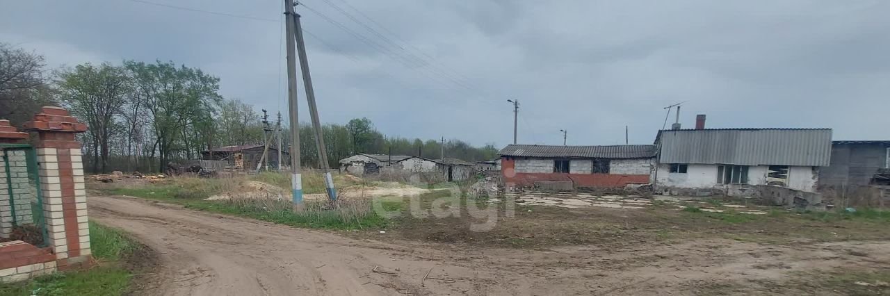 земля р-н Борисоглебский г Борисоглебск ул Фермерская фото 4