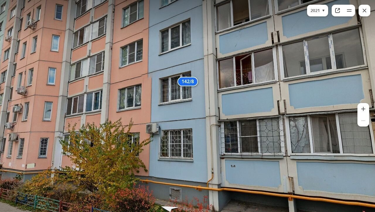 квартира г Воронеж р-н Центральный ул Шишкова 142/8 фото 1