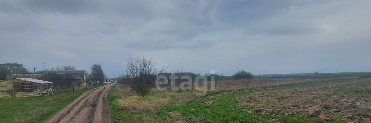 земля р-н Борисоглебский г Борисоглебск ул Фермерская фото 12