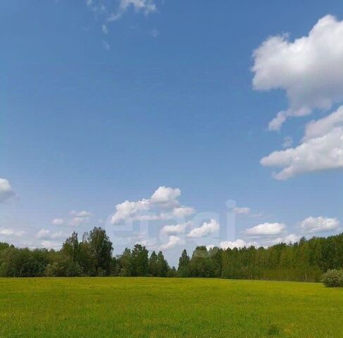 земля с Додзь снт Посад СДТ фото