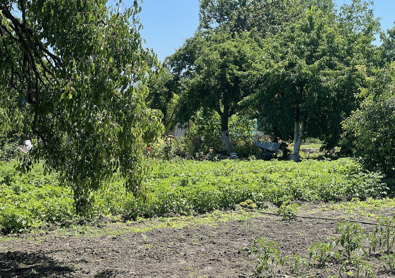 земля р-н Анапский г Анапа ул Восточная Гостагаевская фото 4