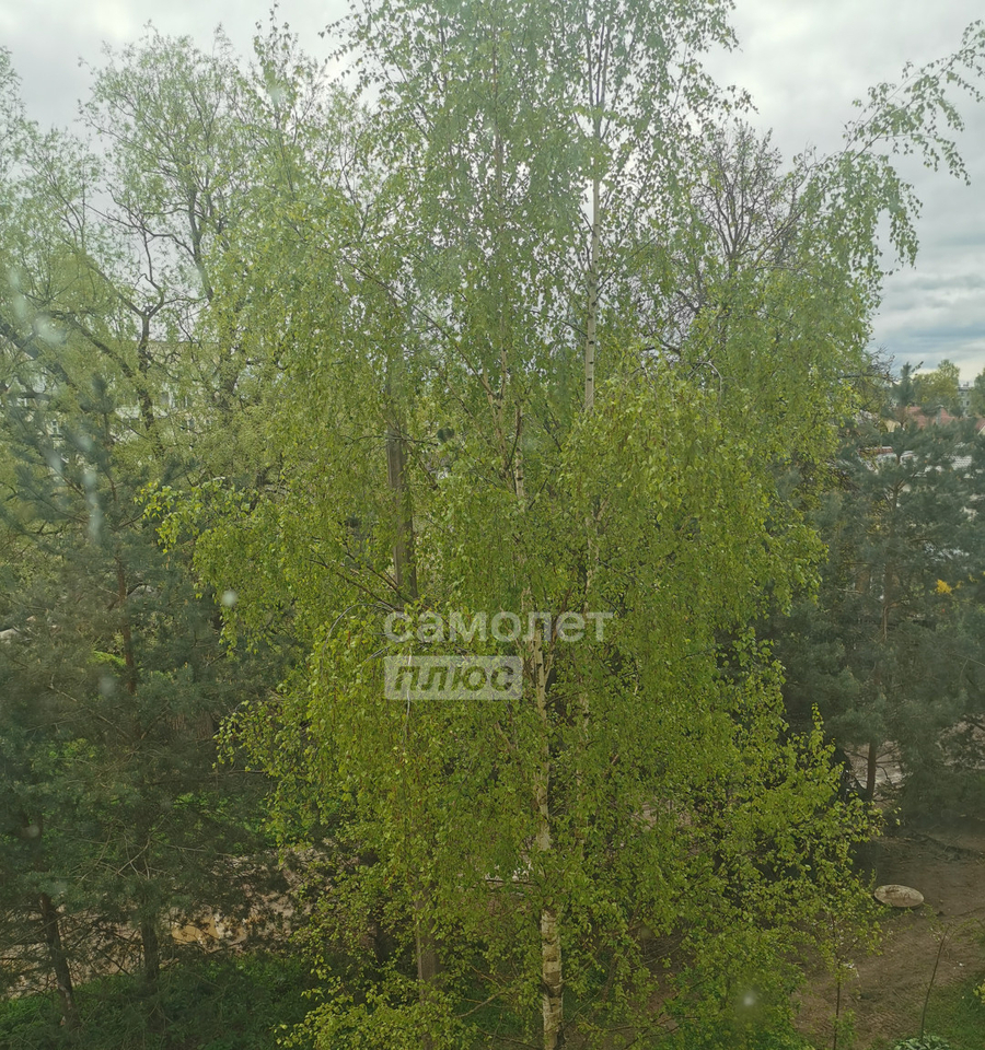 квартира г Псков ул Гдовская 4 фото 17