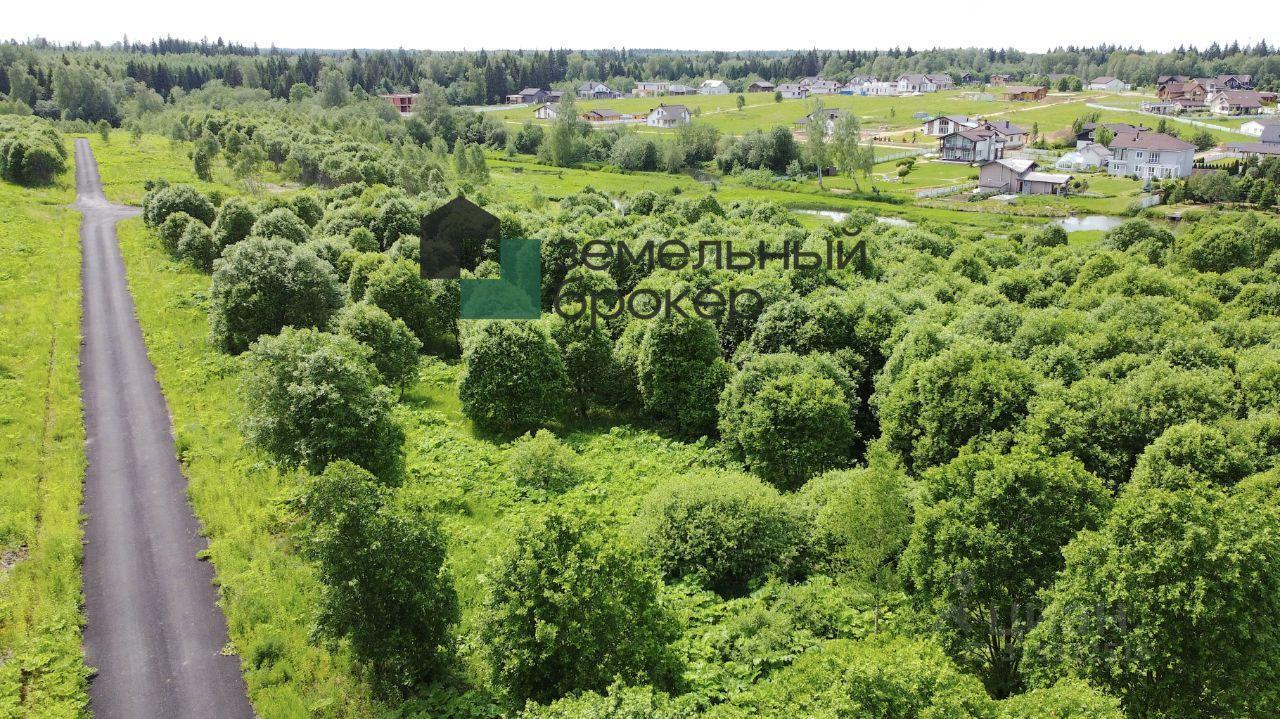 земля г Истра Березы кп фото 11