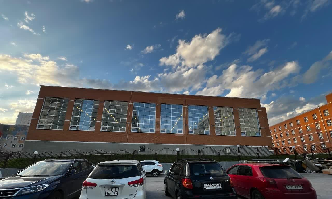 квартира г Новосибирск р-н Октябрьский Плющихинский 11/1 Виталия Потылицына фото 37