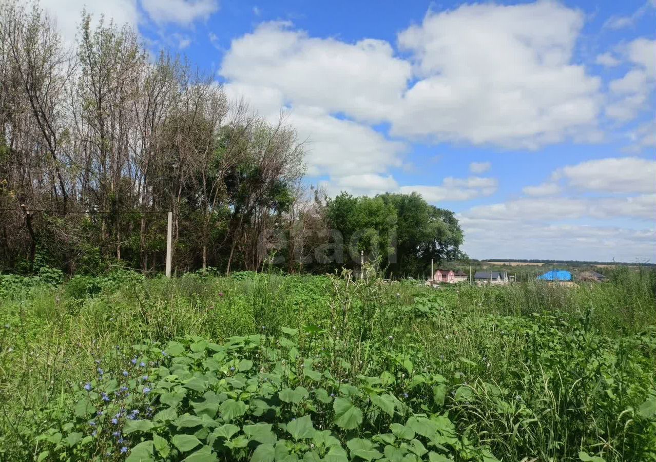 земля г Саратов р-н Кировский пр-д 1-й Сибирский фото 3
