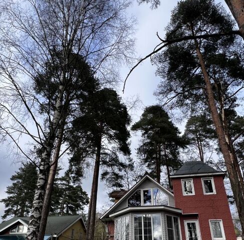 ул Павловская 116 Проспект Большевиков фото