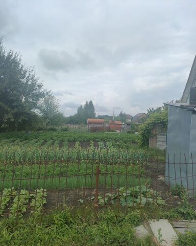 снт тер.Дубки Комсомолец, 155 фото